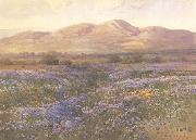 unknow artist Lupine in Kern County painting